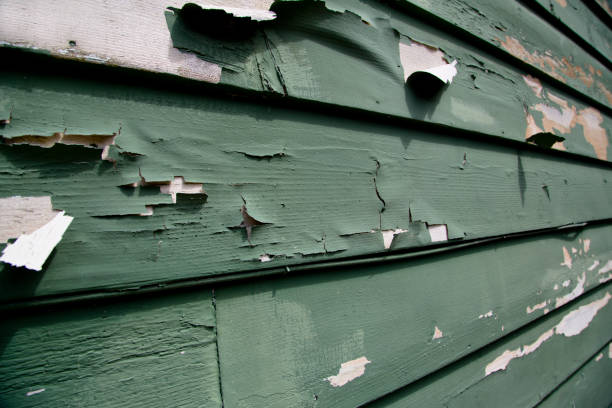 Trusted Duluth, GA Junk Removal Experts